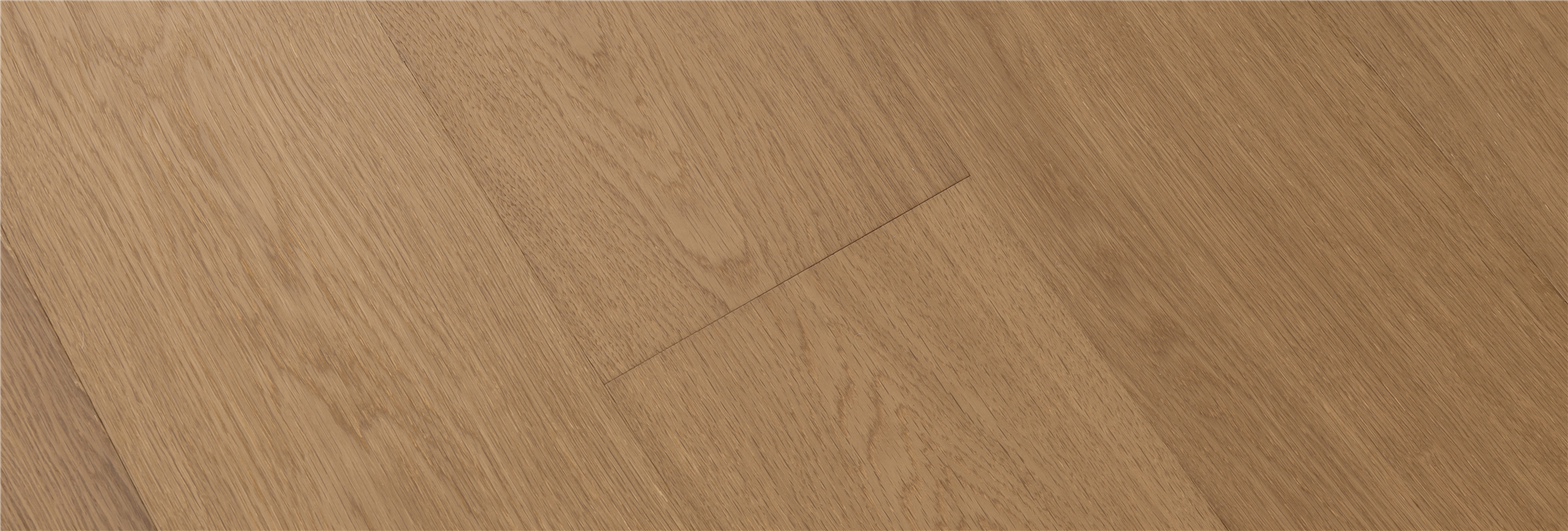 旭日金 1920x570.jpg